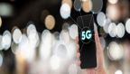 The Bloom of Better Productivity with 5G Network